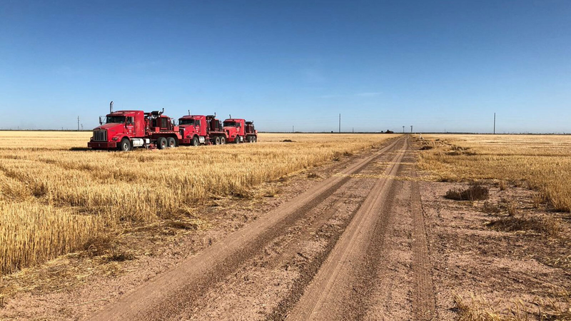 Borehole Seismic Services