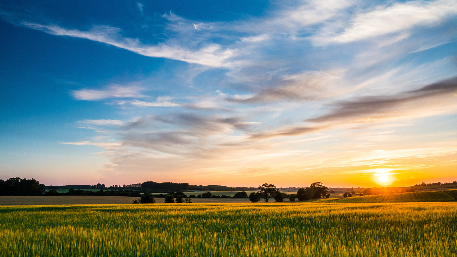 Well Assure™ eco monitoring and abandonment service